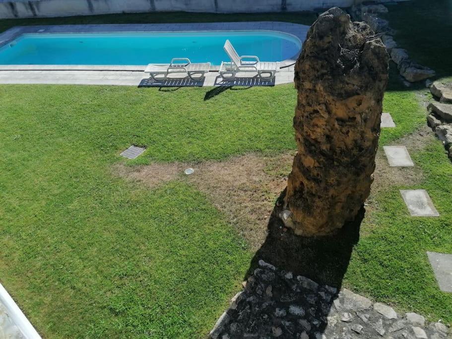 Amazing Lodge By The Ocean - Fully Equipped! Ericeira Buitenkant foto